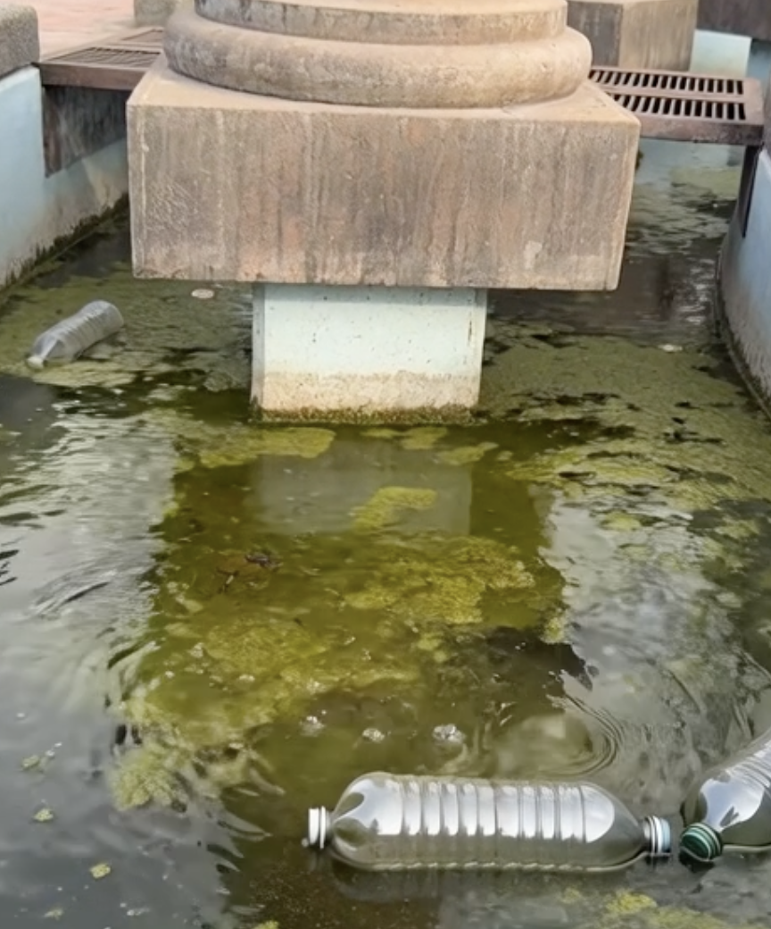 Abandono en la Discóbolo preocupa a visitantes